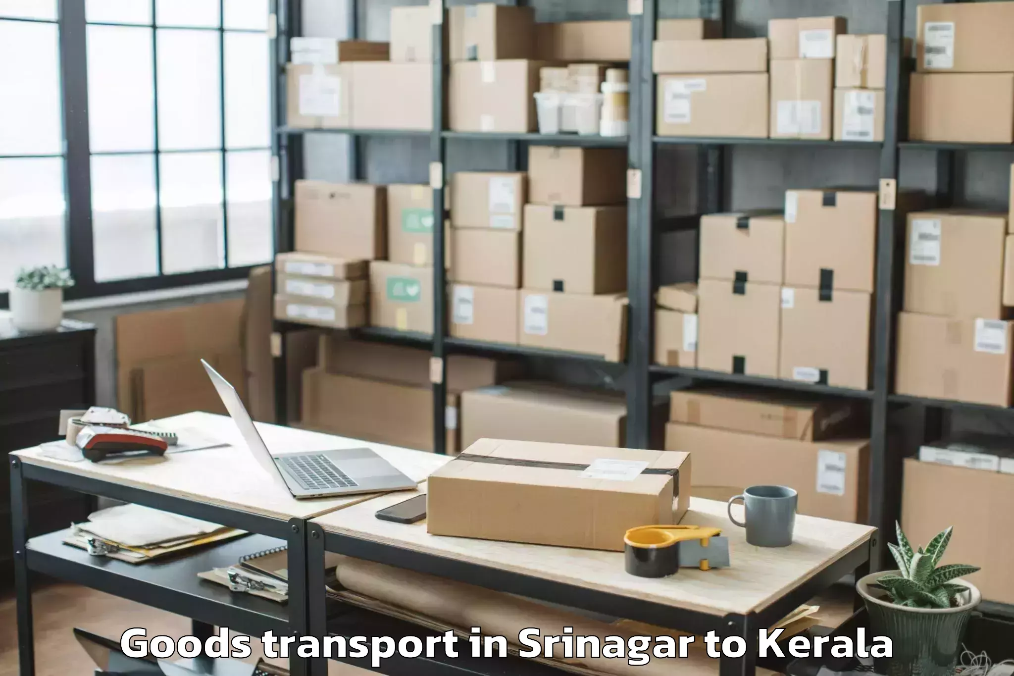 Discover Srinagar to Pandalam Goods Transport